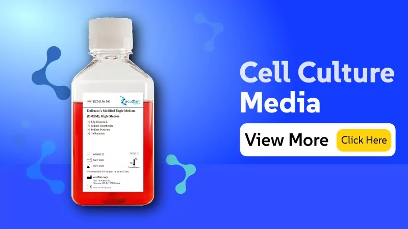 cell culture media
