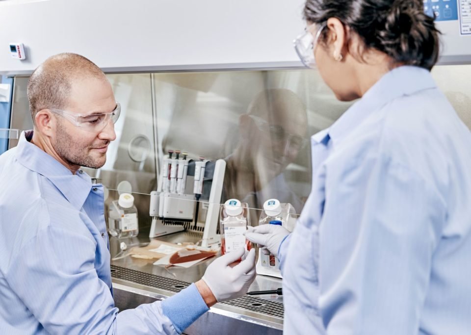 Right Cell Therapy Collaborator For Your Specific Needs