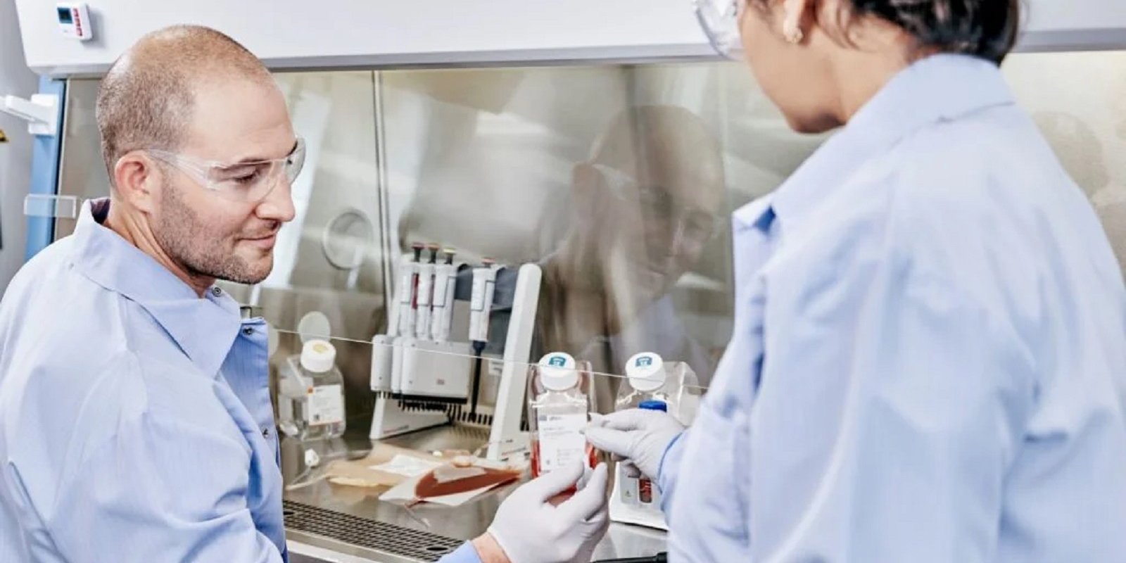 cell culture lab 2